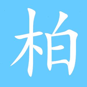 柏同音字